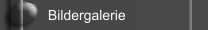  Bildergalerie